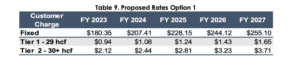 Table 9. Proposed Rate Options 1, June 10, 2024. Changes to calendar year, 2023-2027