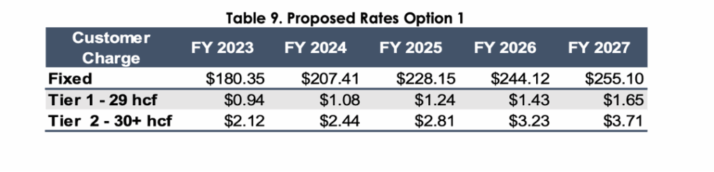 Table 9 - Proposed Rates Option 1